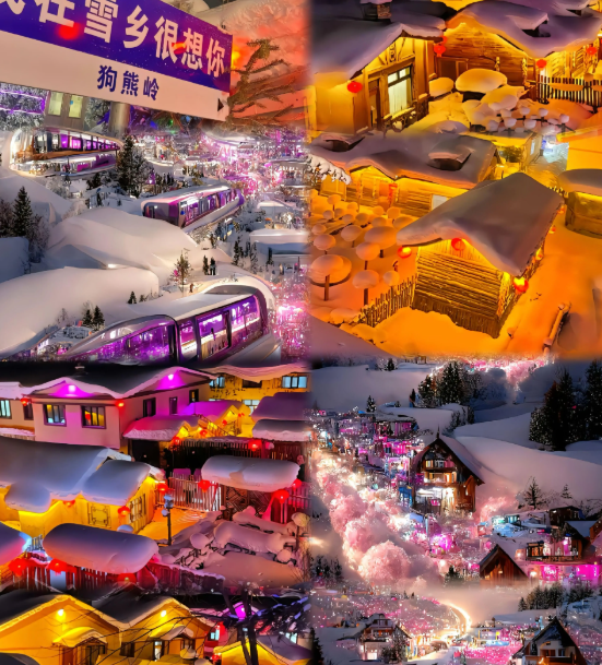 哈尔滨人都参与过吗？哈尔滨野游，冰城人的百年浪漫